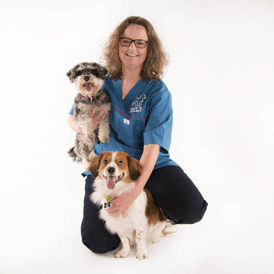 Værdigrundlag - Helle Dyrlæge